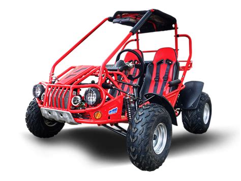 kmart beach buggy